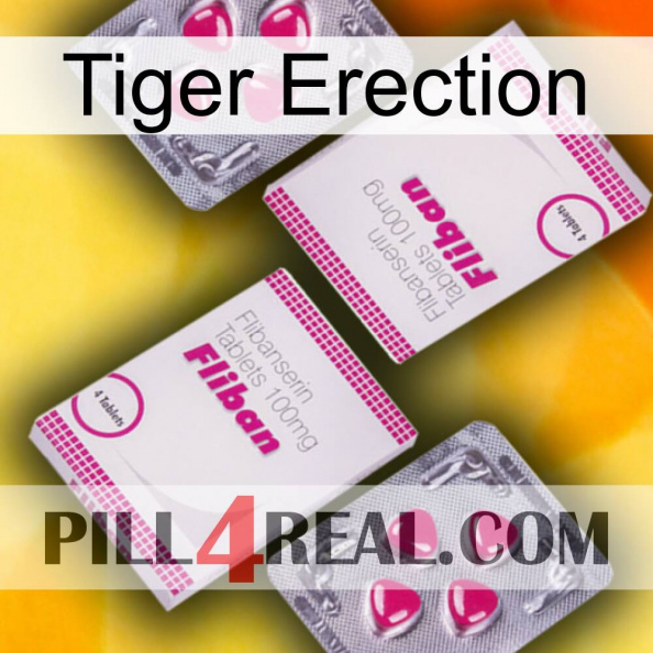 Tiger Erection 33.jpg